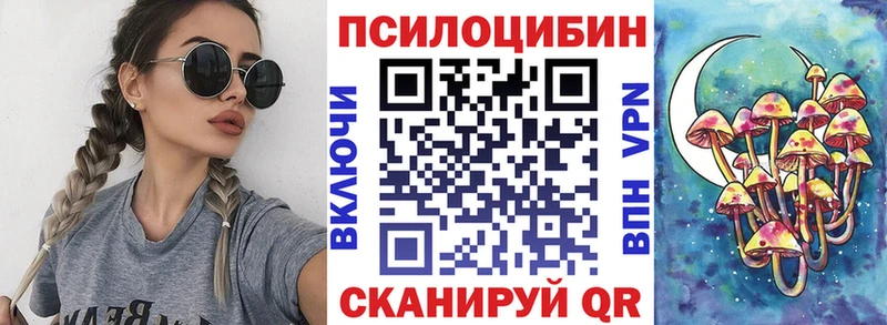 продажа наркотиков  Великий Устюг  Галлюциногенные грибы Cubensis 